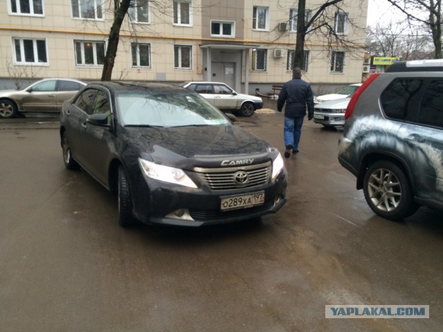 Наглый водятел.