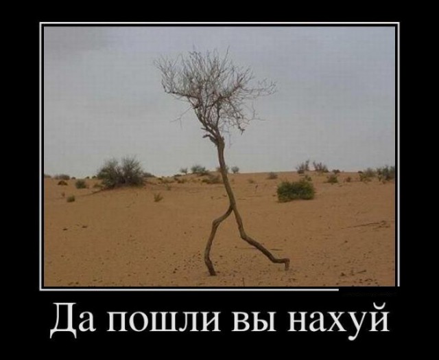Демотиваторы