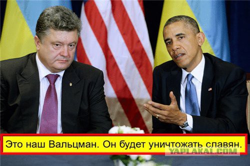 Гнездо современного фашизма.