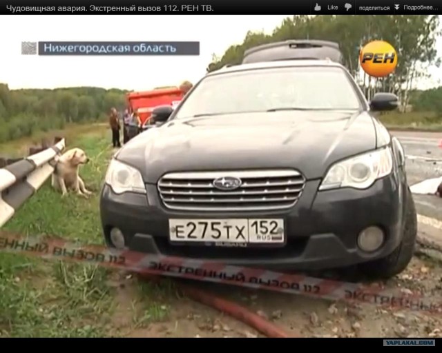 Убили молодую пару и веселятся!