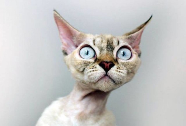 Картинки на рабочий стол