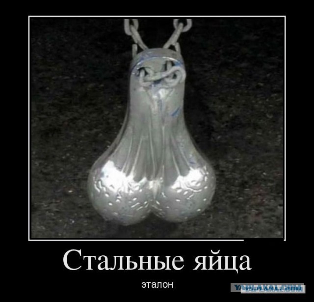 Скоростная поездка на лонгборде