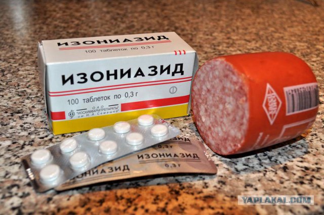 Про собак...