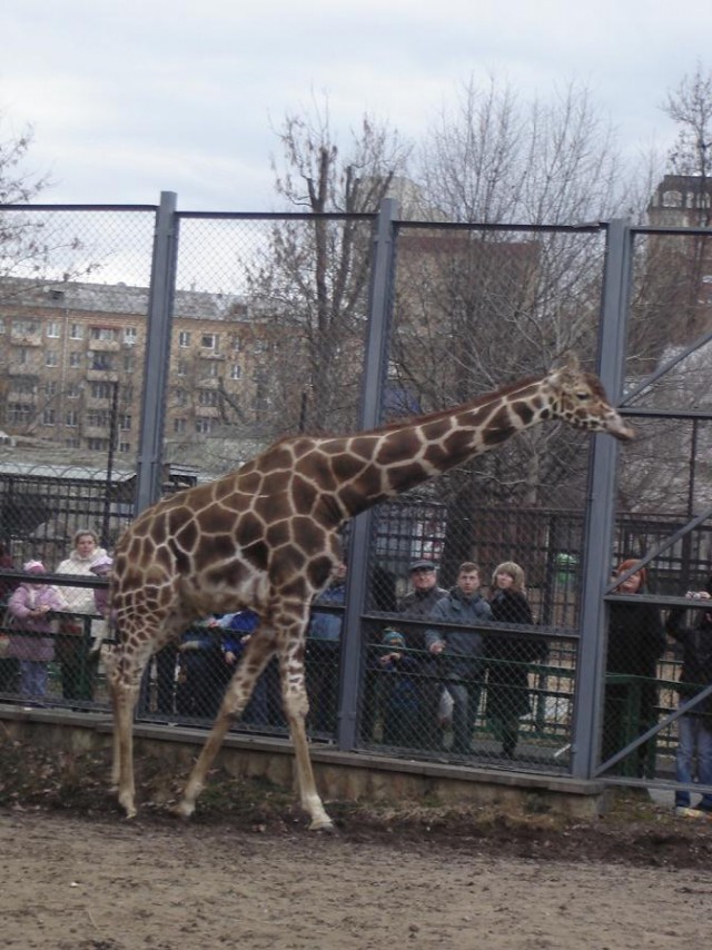 Поход в Московский зоопарк