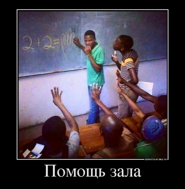 За женитьбу на исландках иммигрантам будут выплачивать пособие