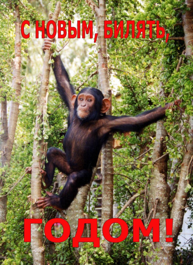 Новый год в Новой Европе