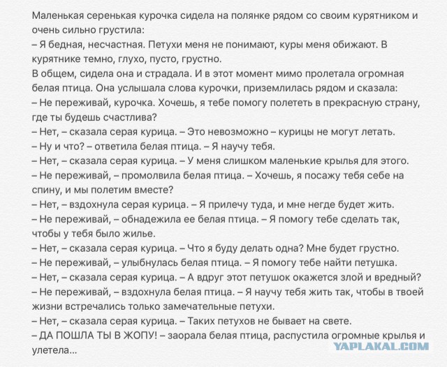 Смешные комментарии из социальных сетей 13.01.2017