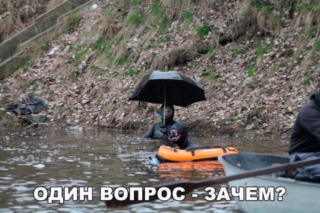 Подборка безудержного веселья