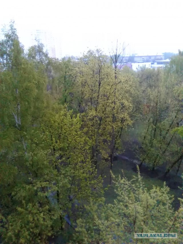 Голицыно, Подмосковье. 100-е февраля.