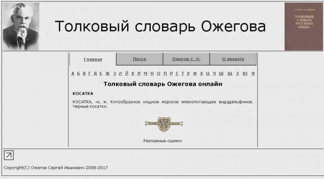 Косатки гоняются за катером