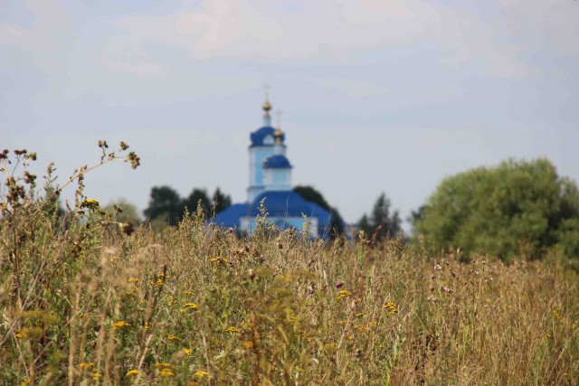 Красота сельских дорог