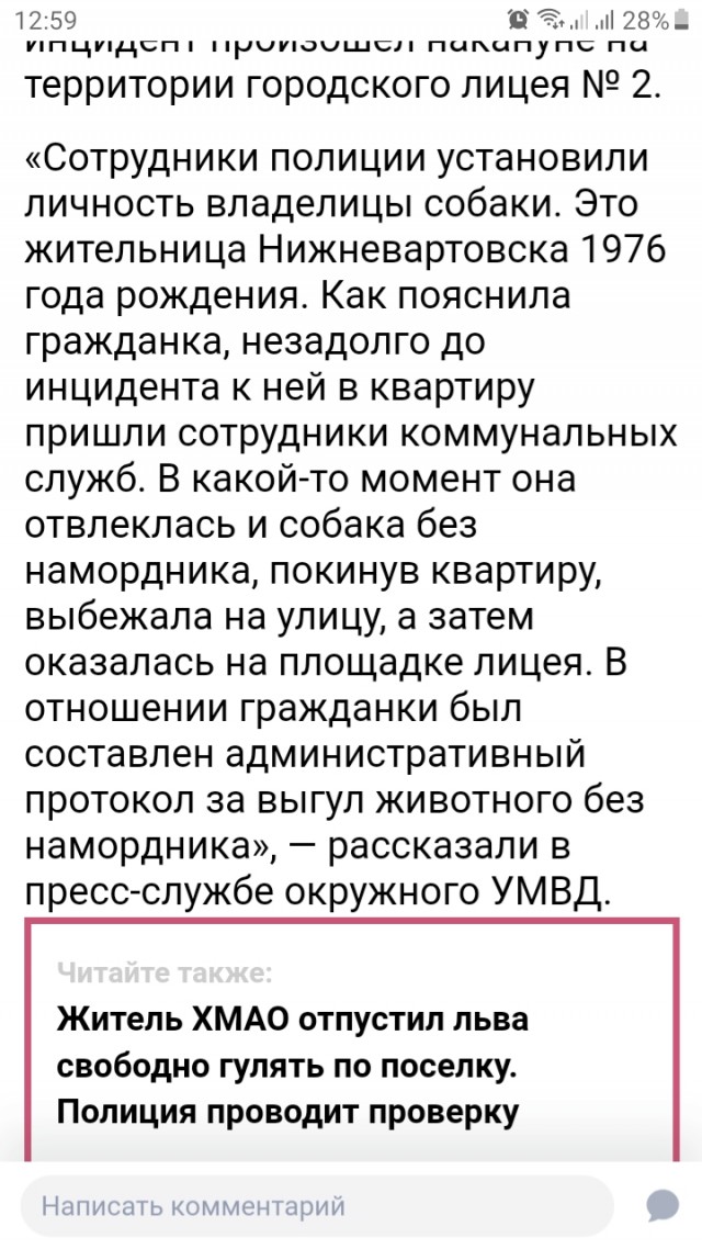 В Нижневартовске на школьников гимназии №2 напал бультерьер, который гулял без хозяйки