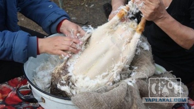 А вы говорите паники нет. Смотрите, как девочку разнесло возле гостиницы «Арт Москва Войковская», где остановились китайцы