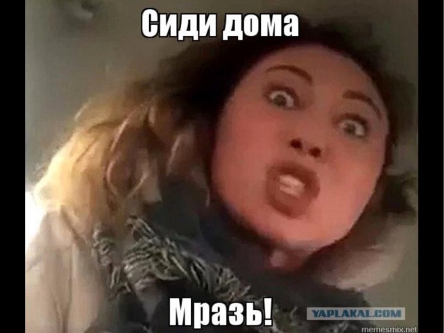"Останови, тварь, я тебя сейчас здесь убью!"