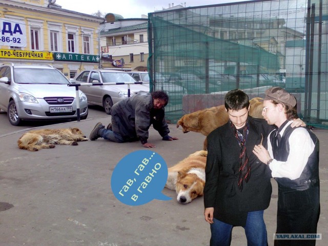 Лучший друг человека.... или наоборот!?