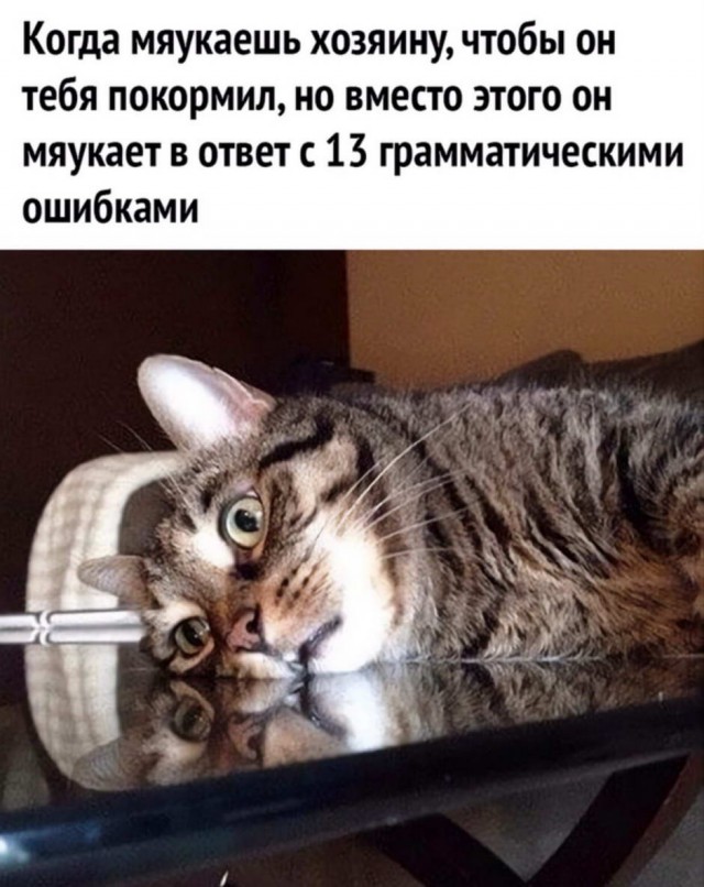 Бредзона 03.11.2020
