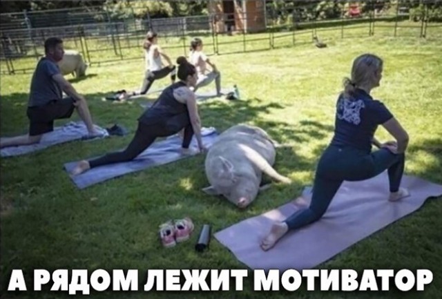 Картинки и мемы для настроения 027