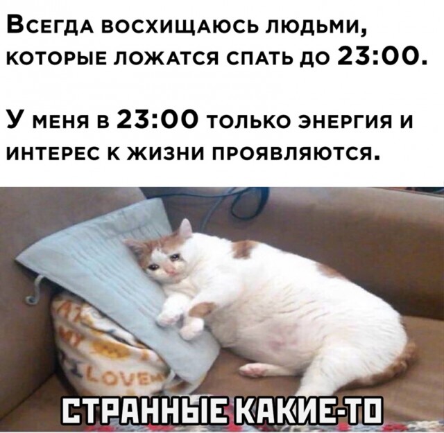 Весёлый полтишок 28.03