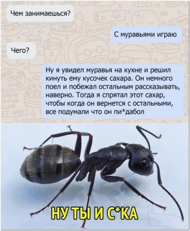 Картинки и мемы для настроения 27.07.2021