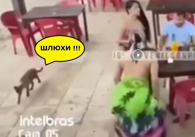 Основной инстинкт
