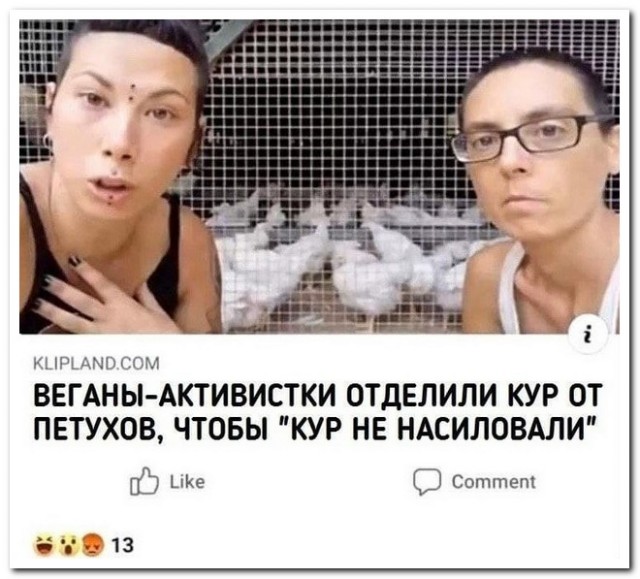 Забавные комментарии из социальных сетей (03.01.22)