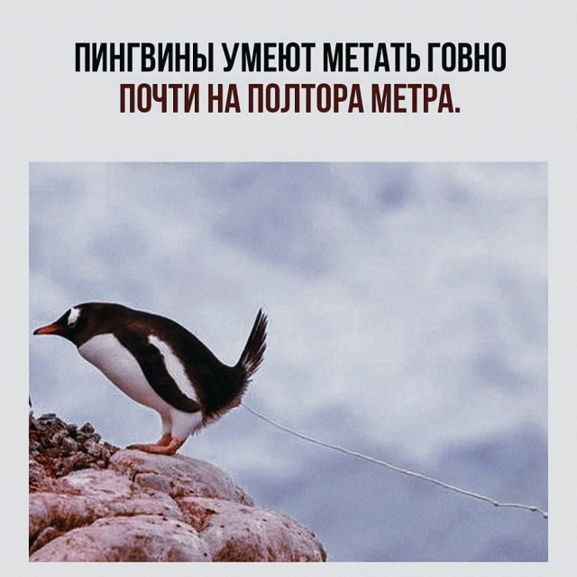Так себе картинки 20.04.22