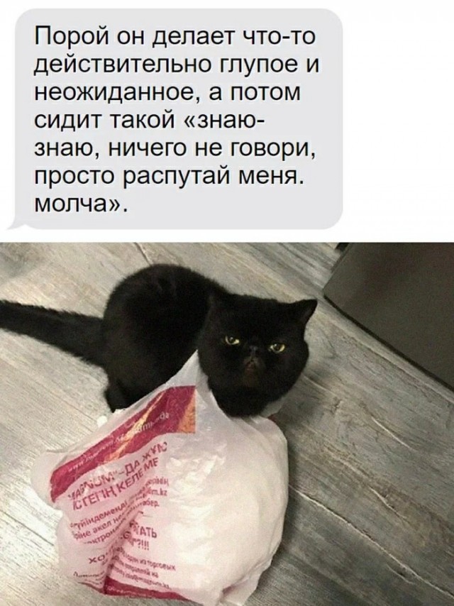 Картинки и мемы для настроения  - 31