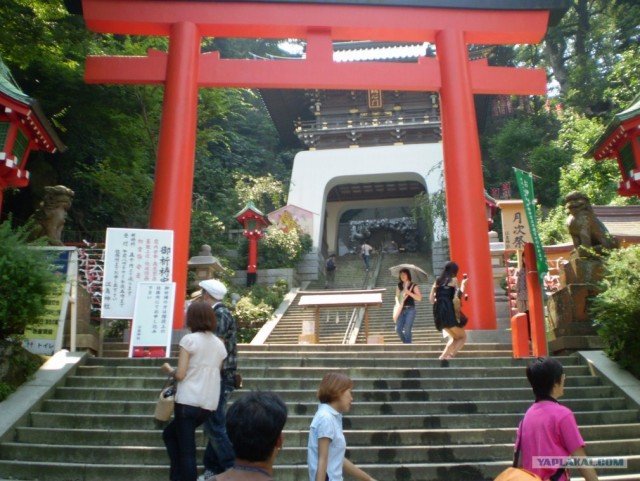 Далёкая Япония