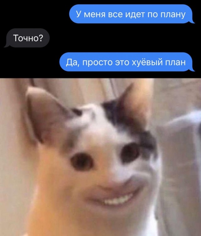 Немного картинок для настроения - 112