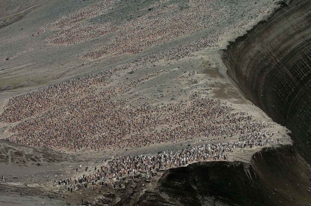 Северный ледовитый океан