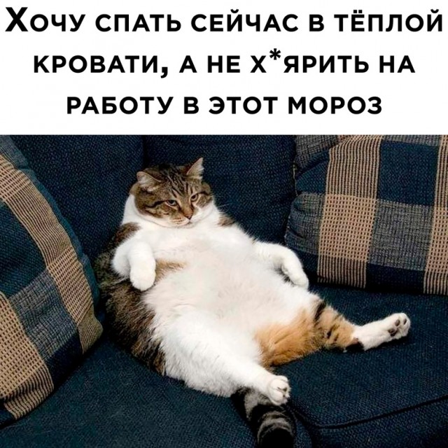 Картинки и мемы. Выходные близко...