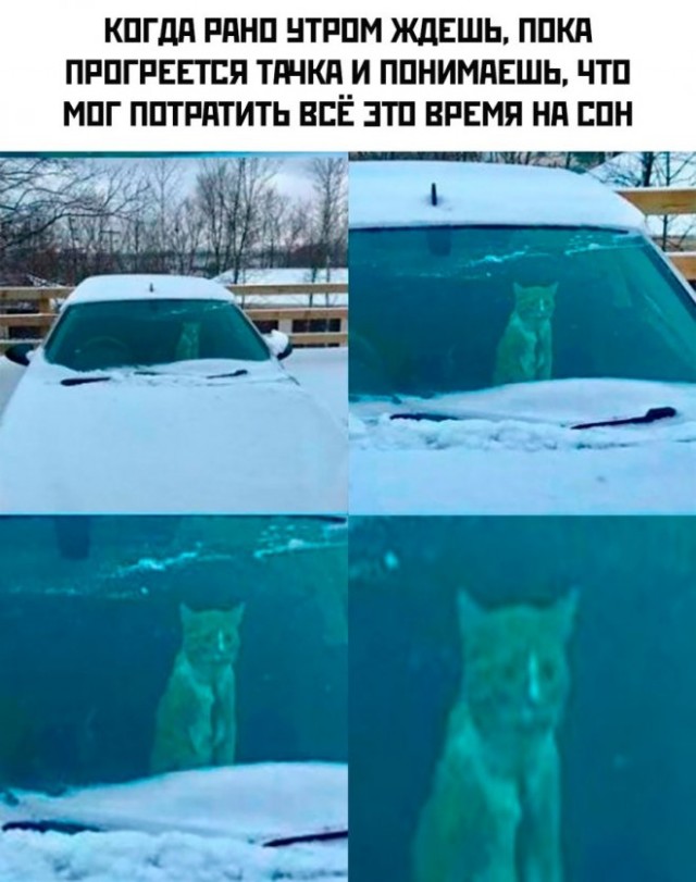 Картинки и мемы для настроения - 125