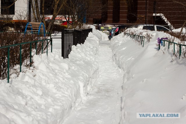 23 марта. Киев. Весна.