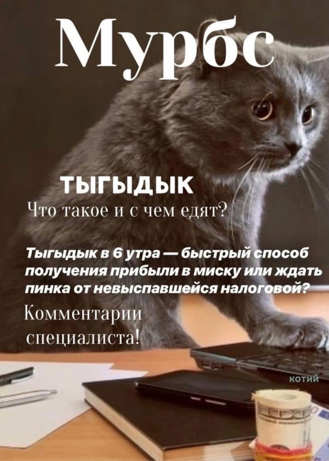 Журнал успешных котов