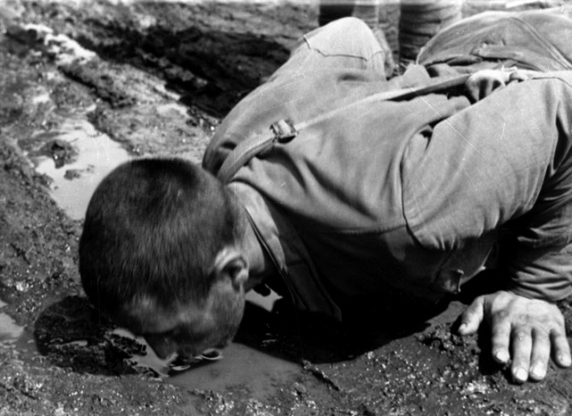 "Мы должны будем уничтожить по меньшей мере одну треть населения присоединённых территорий.Самый лучший способ для этого-голод."