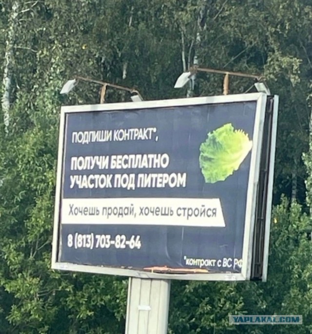 Чем гайки крутить, лучше.... Полный соцпакет, списание долгов и грешков