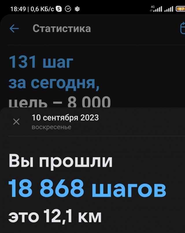 Учитель дошел пешком из Москвы в Петербург за 17 дней