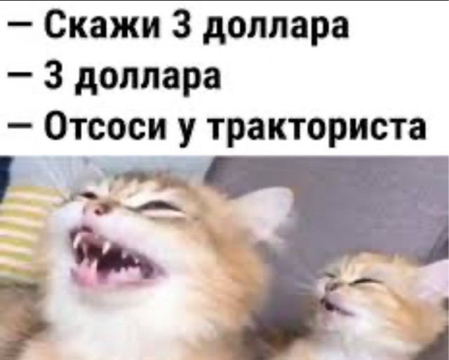 Сосед