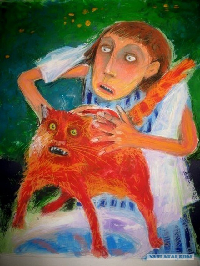 Безопасная мойка кошки