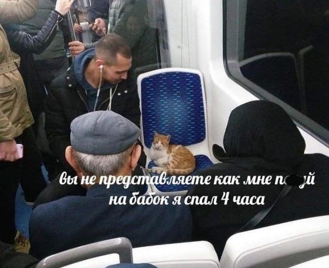 Завалялось тут случайно немного забавных картинок