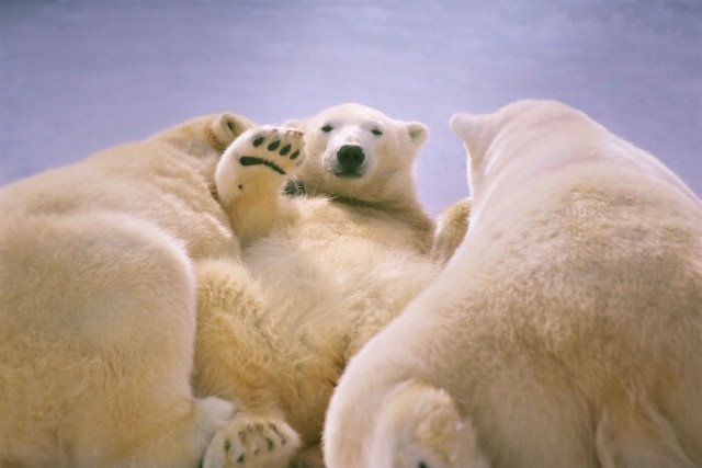 «Хмм»-изображения ч.2