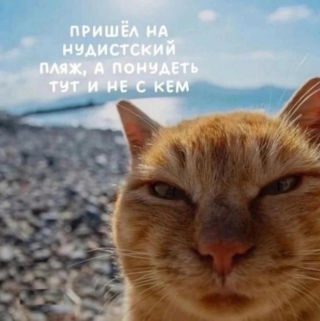 Прикольные и просто красивые картинки 10.06.2025