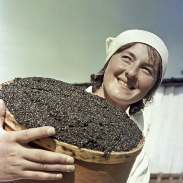 ​ Фотографии из прошлого нашей страны – 110