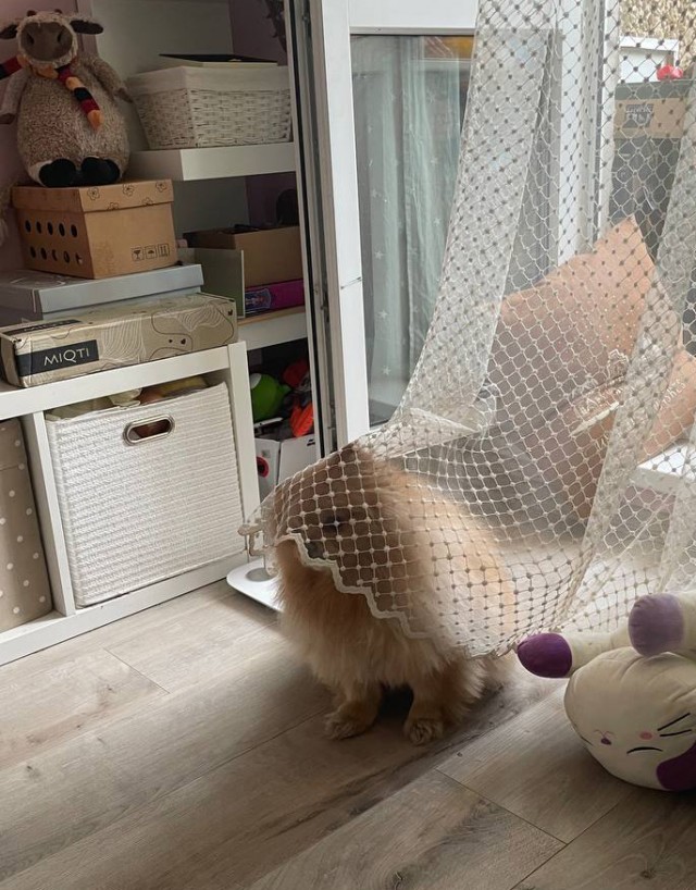 Четверговый Жоцэк