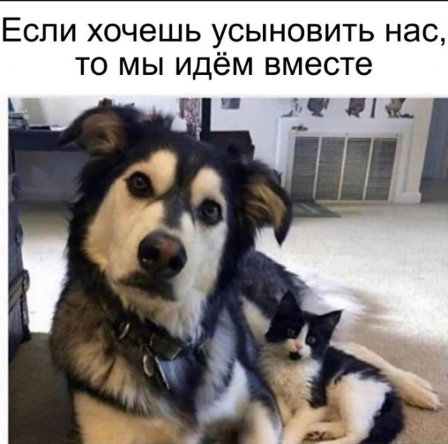 Картинки разные с надписями и без