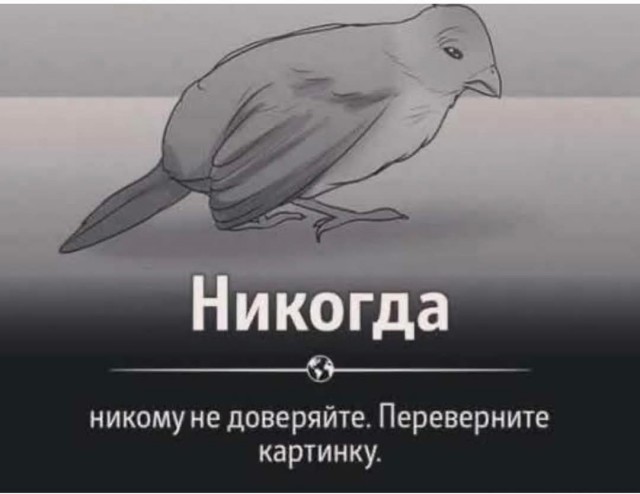 Картинки для деградации 84 (разной степени свежести)