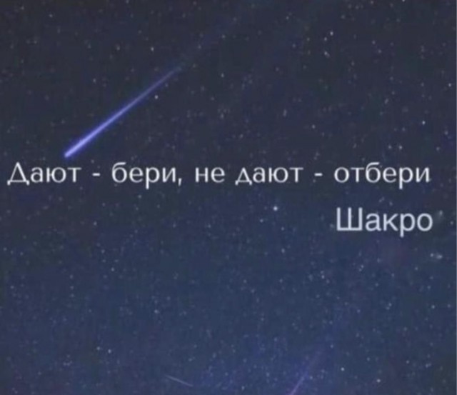 Веселое настроение в картинках (20.11.2025)