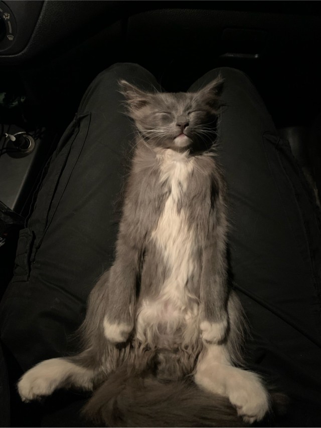 В преддверии НГ тоже стал рабом!