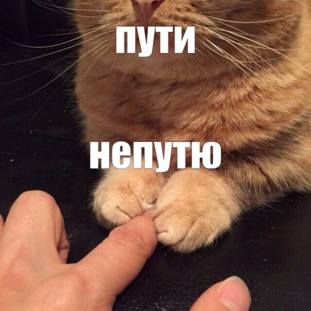 Да я просто мимо проходил