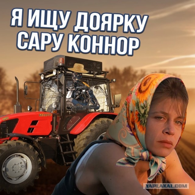 Звёзды Голливуда в нашей деревне